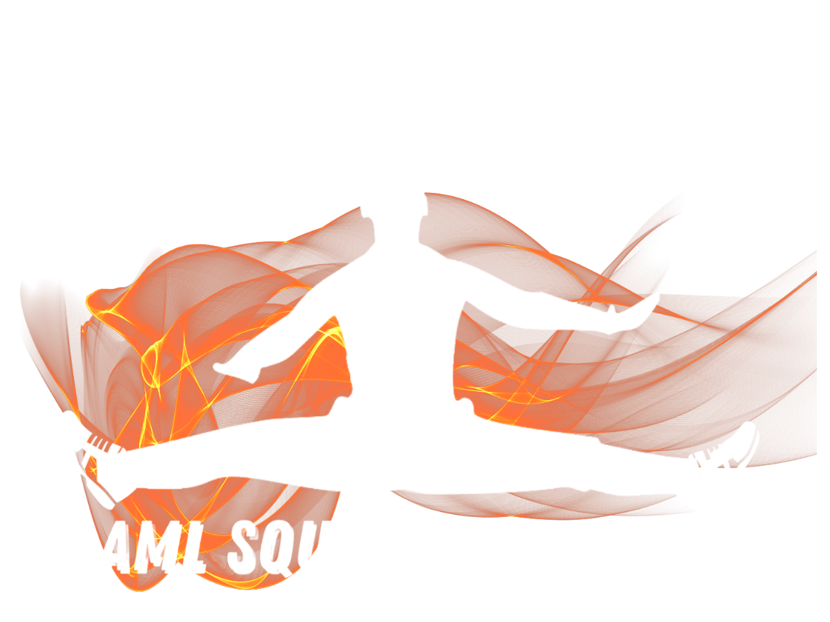 – AML SQUAD TRAINING
